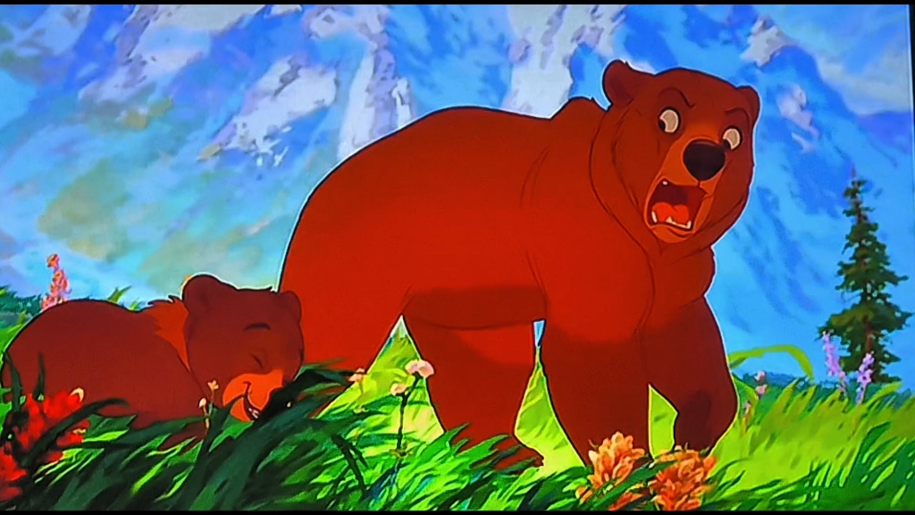 迪士尼dvd《熊的传说》观赏