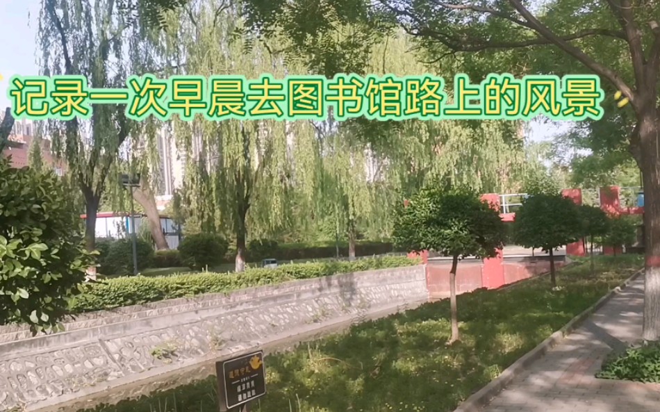 山西大学坞城校区清晨去图书馆的小路风景记录哔哩哔哩bilibili