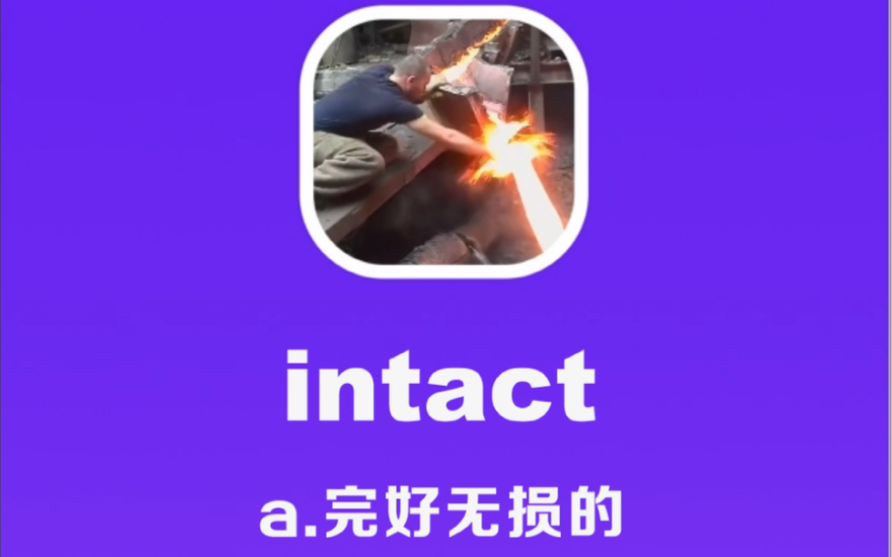 intact:完好无损的哔哩哔哩bilibili