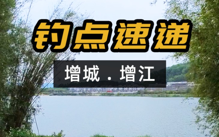 增江黄金钓点,水靓景美鱼更鲜,开车直达身边哔哩哔哩bilibili