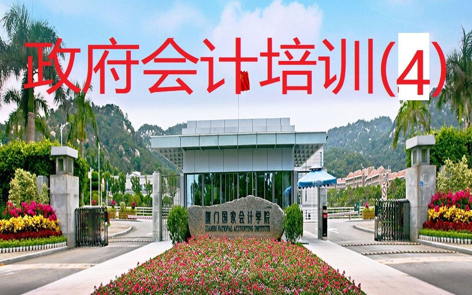 2020厦门国家会计学院组织的政府会计制度专题直播课堂人工智能在政府会计中的应用哔哩哔哩bilibili