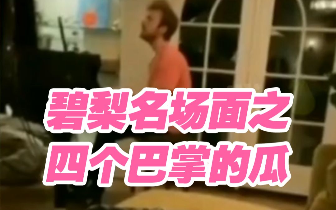 碧梨四个巴掌24秒的梗~哔哩哔哩bilibili