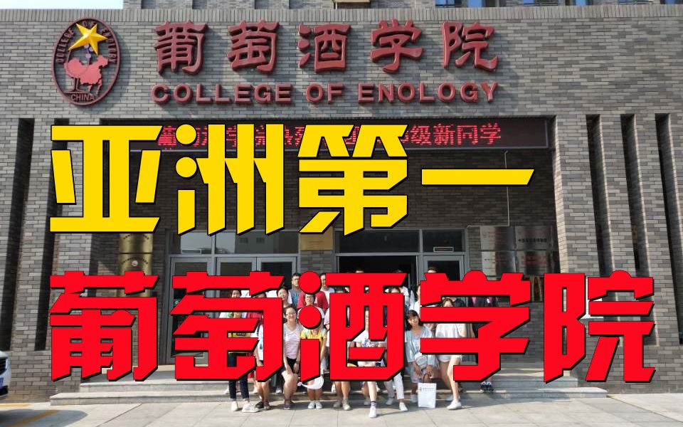 西北农林科技大学:西北不愁吃喝大学哔哩哔哩bilibili