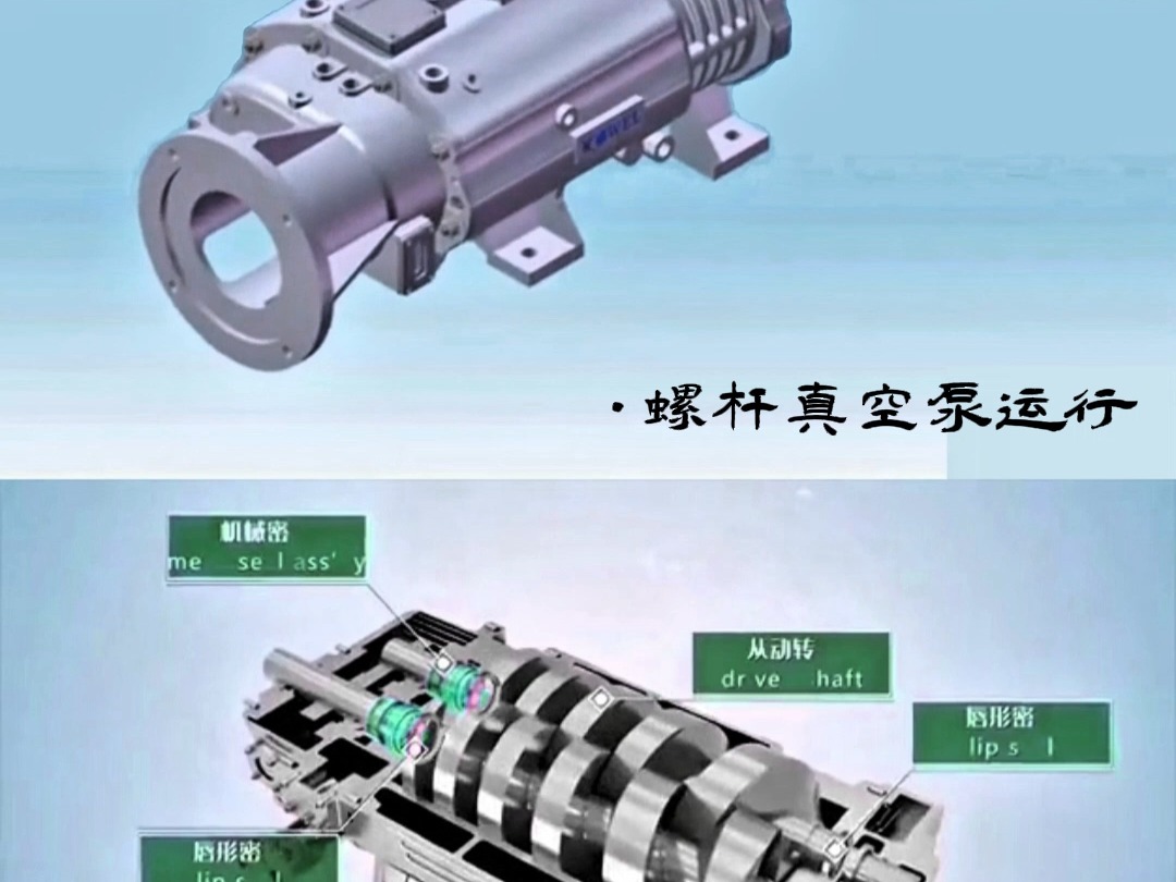 螺杆泵进出口示意图图片