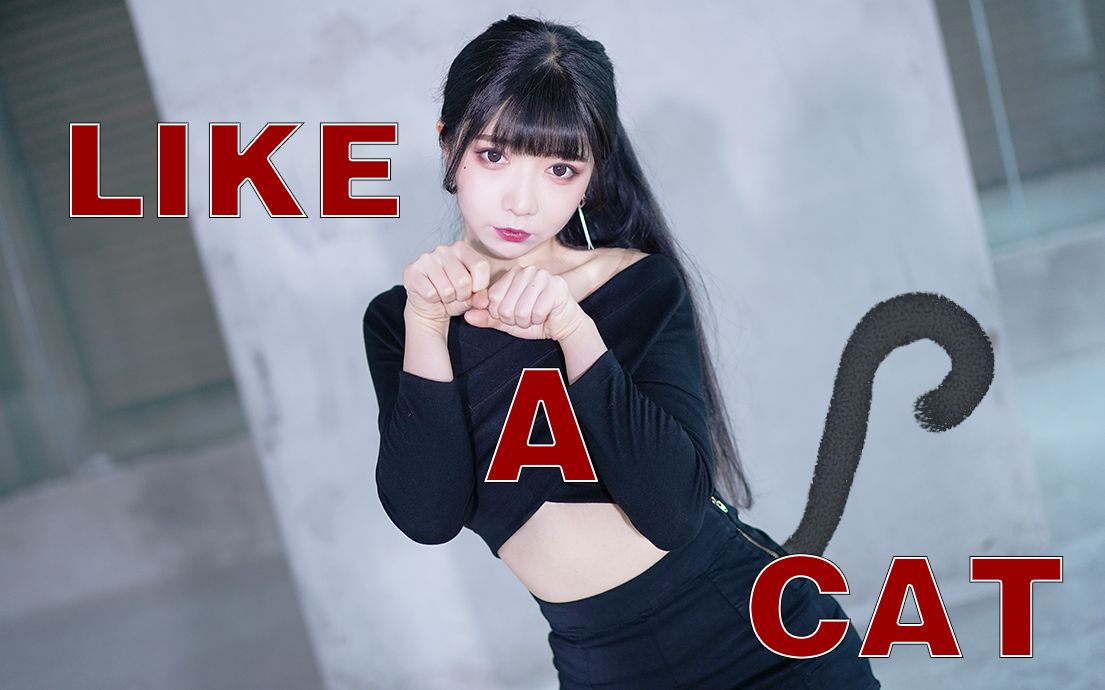 [图]【豆豆子】猫步轻俏❤Like a Cat 喵~