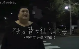 夜巷徘徊 搜索结果 哔哩哔哩 Bilibili 夜巷徘徊 搜索结果 哔哩哔哩 Bilibili