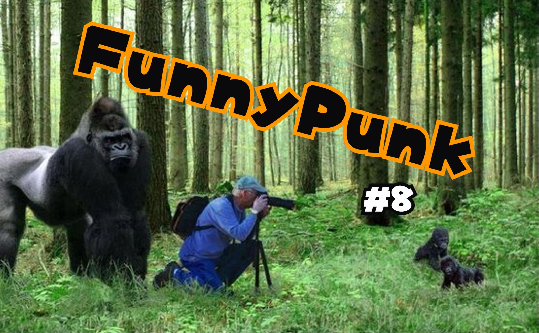 【funnypunk】痛击你的不开心!国外趣味沙雕视频集锦#8