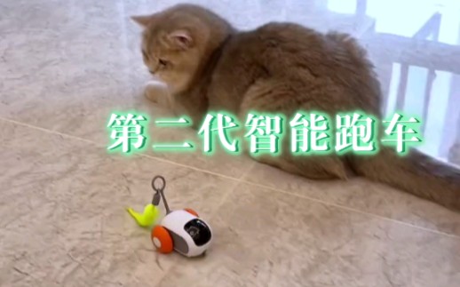 第二代猫猫小汽车 猫猫小汽车升级啦#萌宠好物哔哩哔哩bilibili