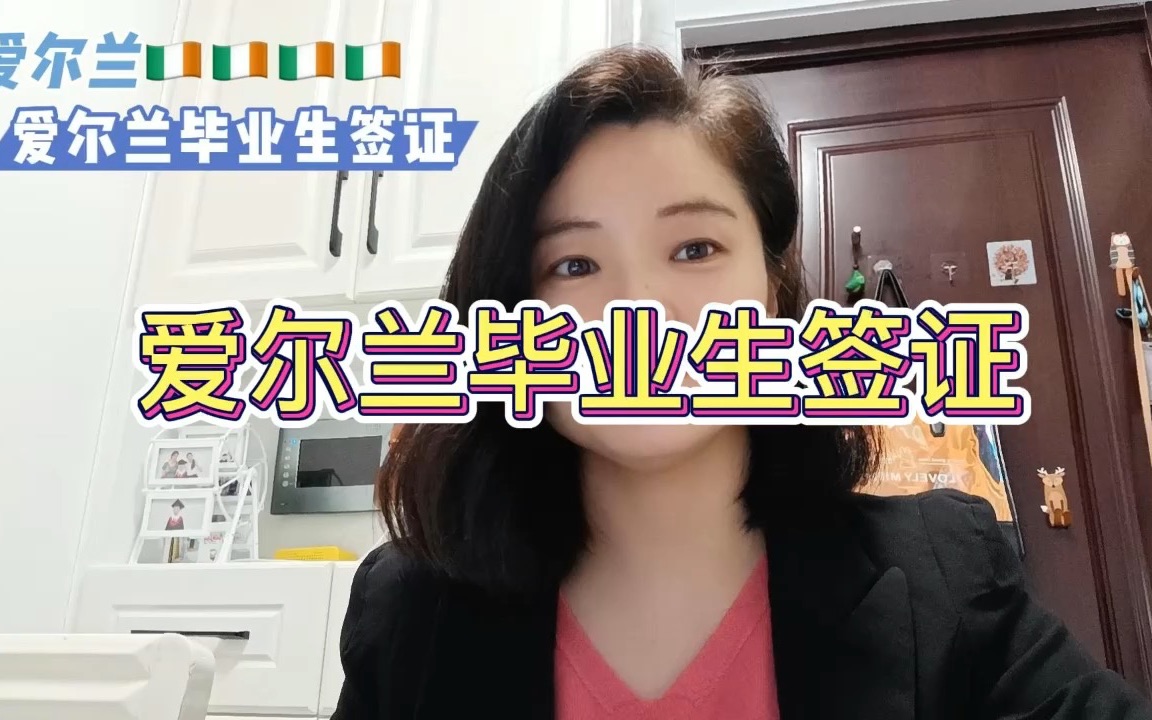 爱尔兰毕业生签证哔哩哔哩bilibili