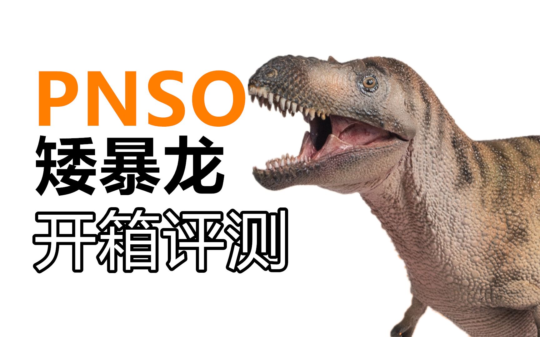 【pnso】矮暴龙开箱评测!