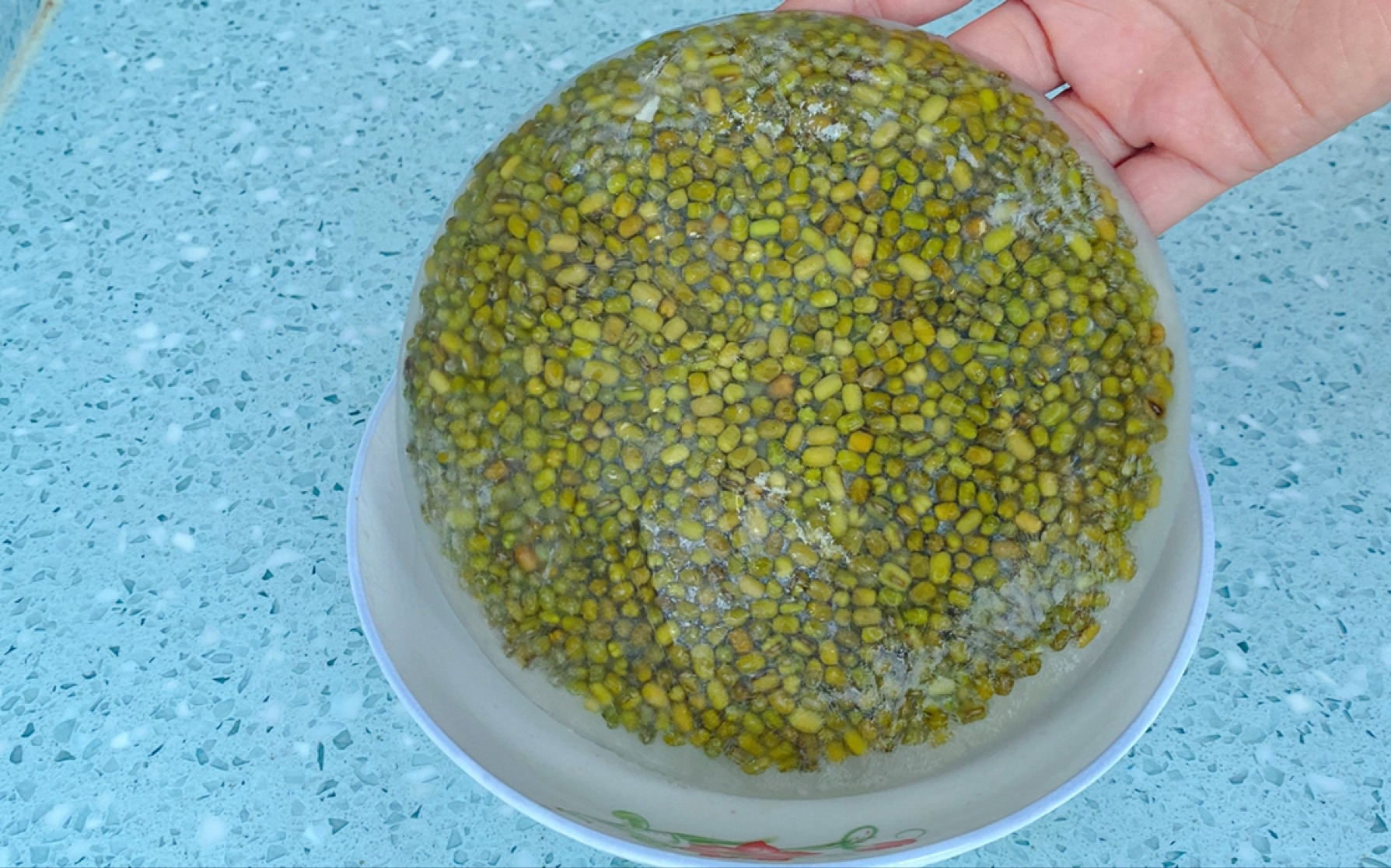 夏日解暑绿豆汤,10分钟开花,汤色清亮不发红