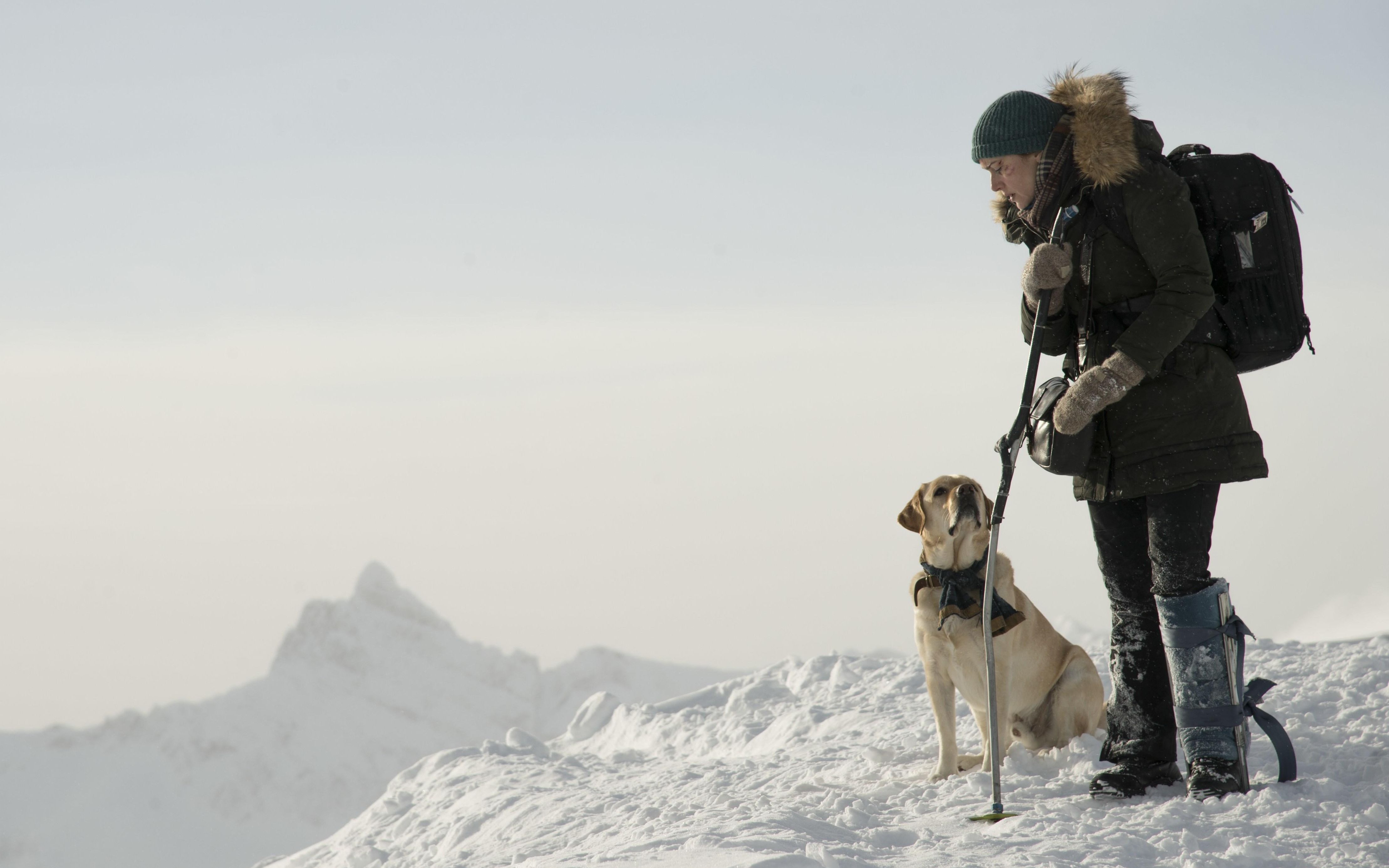 【远山恋人】孤男寡女,流落荒岛,干柴烈火,共处一室,为爱情而鼓掌