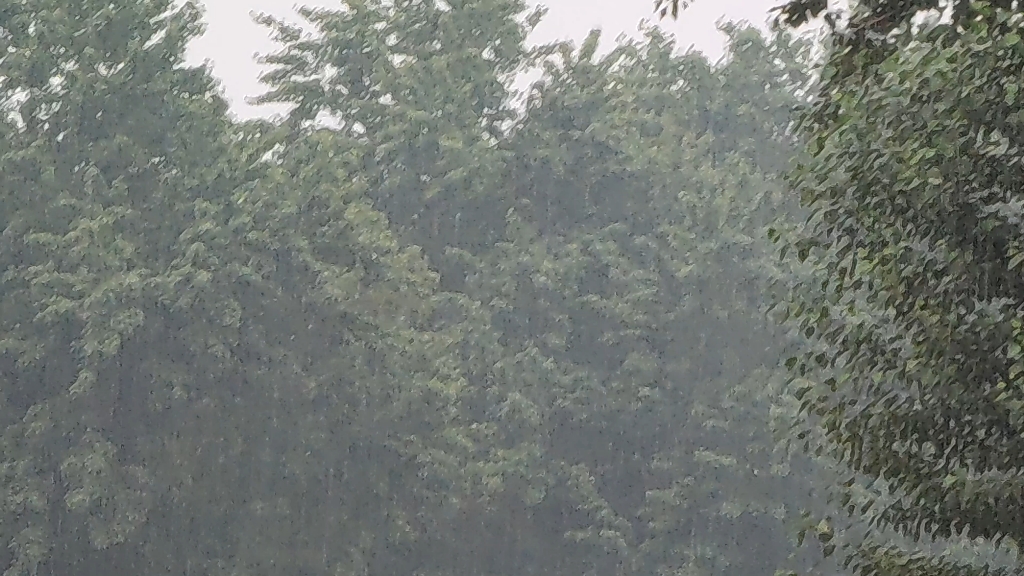 [图]夏天的雨 忽来忽去（用小米11ultra 记录生活中的点点滴滴）