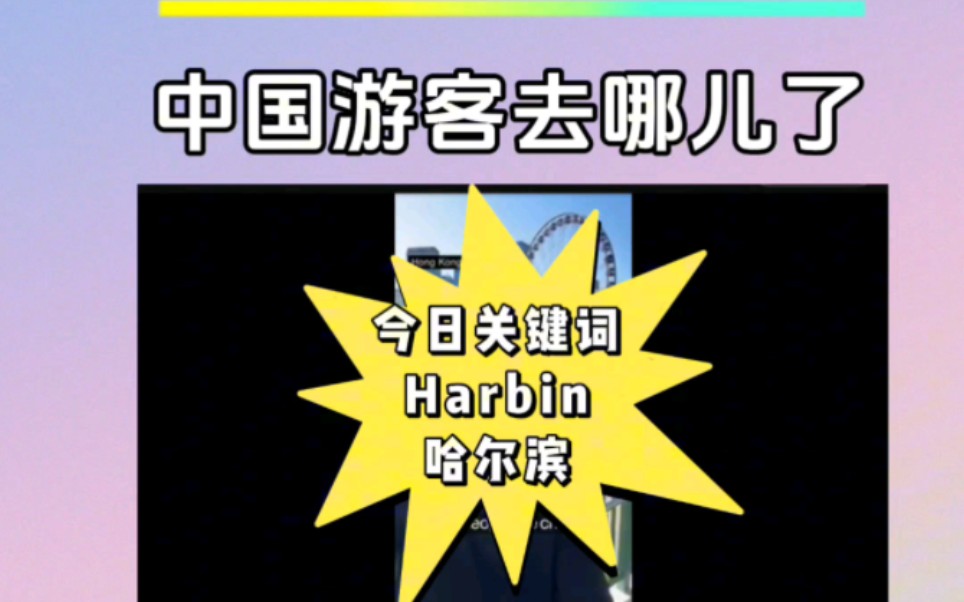 国外网友:“中国游客去哪儿了?”哔哩哔哩bilibili