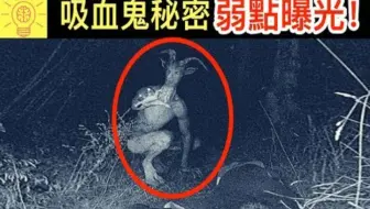 10个 吸血鬼 的种类和起源 快记住它们的弱点 哔哩哔哩 Bilibili