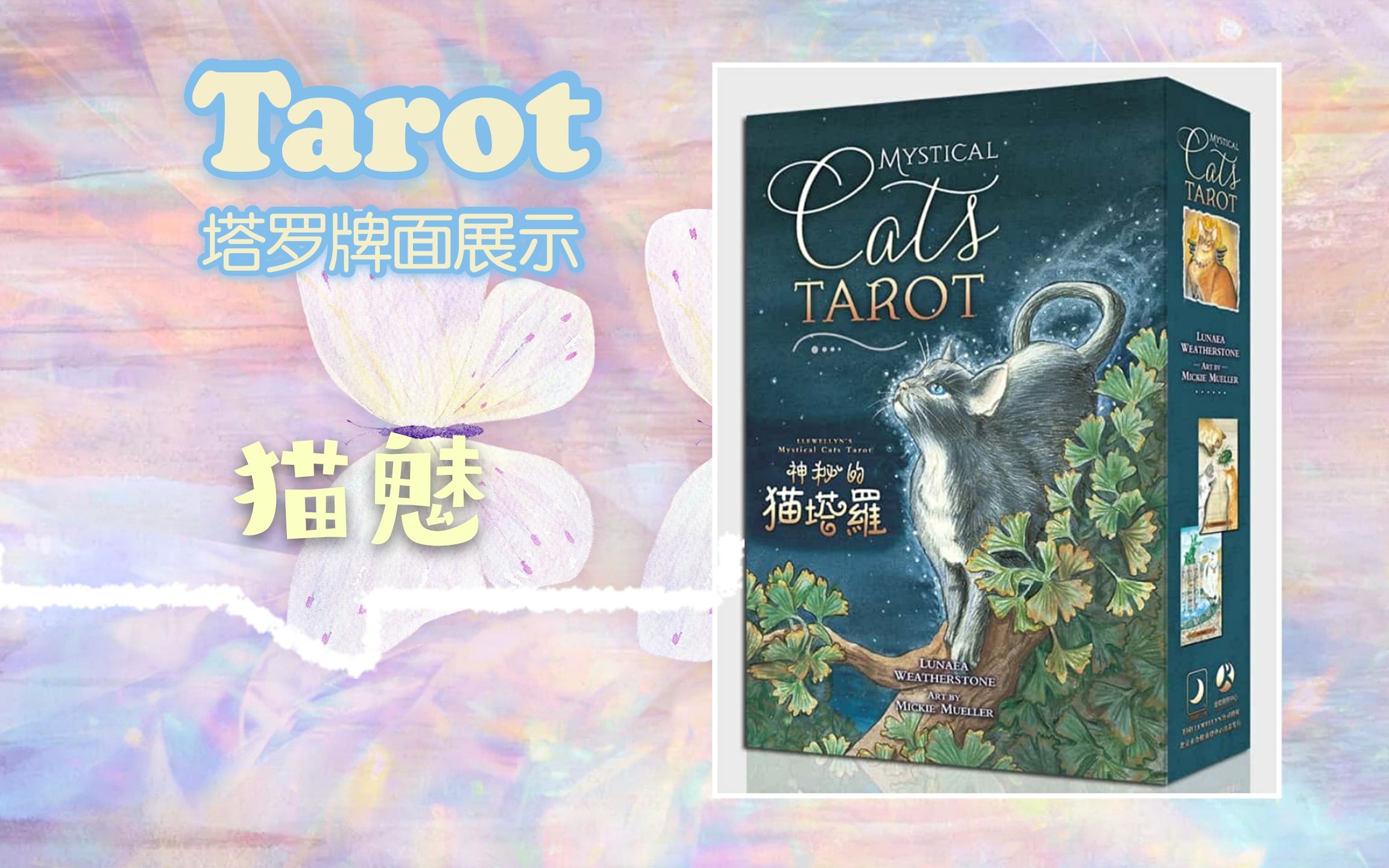 [图]【塔罗展示·国产】猫魅塔罗牌——Mystical Cats Tarot