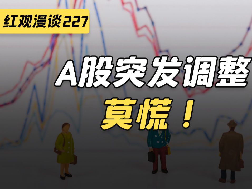 A股突发调整,莫慌!【红观漫谈】哔哩哔哩bilibili