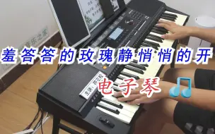 Descargar video: 900元美得理挑战雅马哈，m311电子琴演奏《羞答答的玫瑰静悄悄的开》