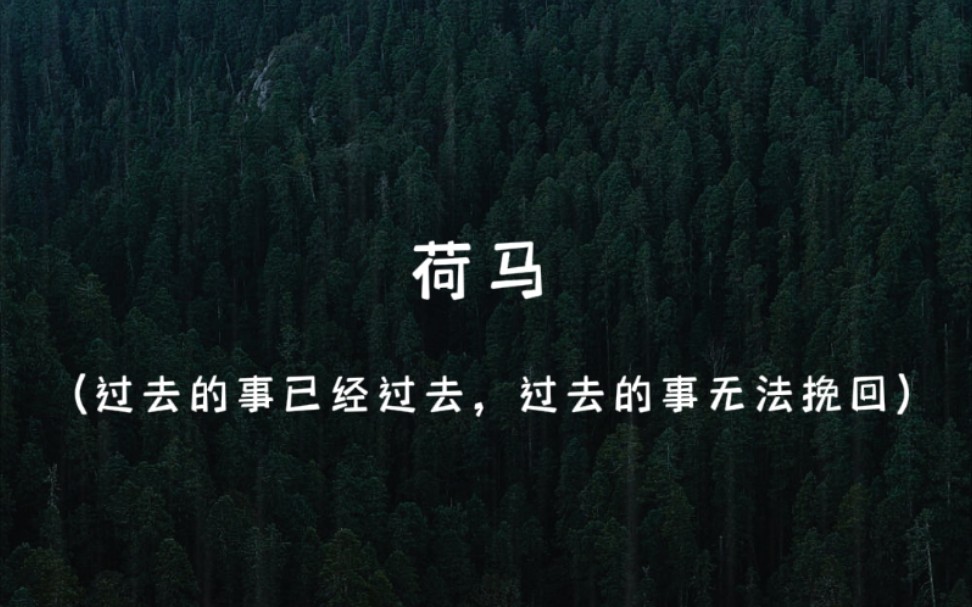 [文学家语录]别让我未经努力就不光荣地死去,让我先做一些能让后人铭记的伟大事吧哔哩哔哩bilibili