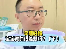 下载视频: 早期妊娠宝宝真的很脆弱吗？（下）