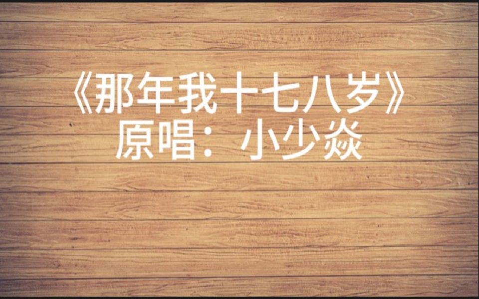 来自于小少焱的《那年我十七八岁》哔哩哔哩bilibili