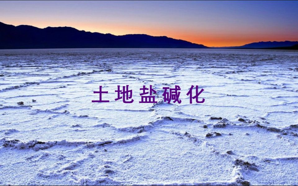 浅谈土地盐碱化的成因以及解决方案哔哩哔哩bilibili