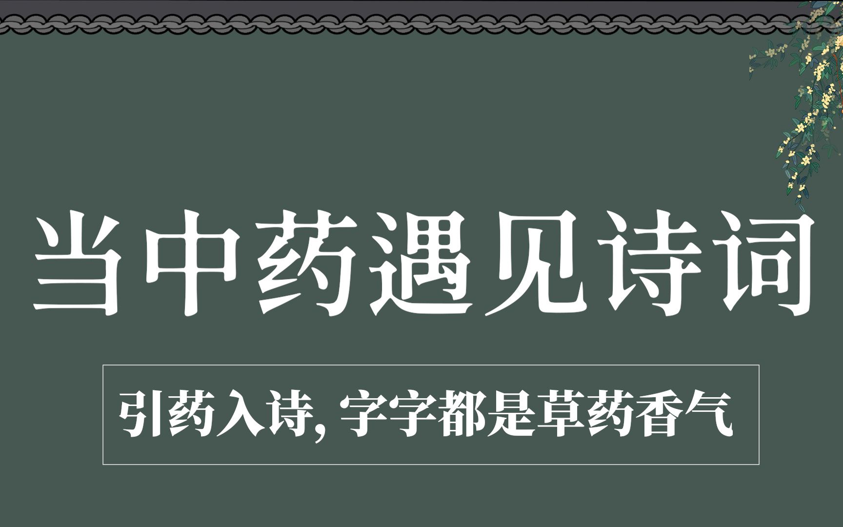 【古人的浪漫】引药入诗,字字都是草药香气哔哩哔哩bilibili