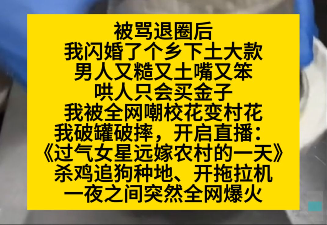 被骂退圈后,我闪婚了个乡下土大款,被全网嘲笑,我干脆直播:过期女星远嫁农村的日常……小说推荐哔哩哔哩bilibili