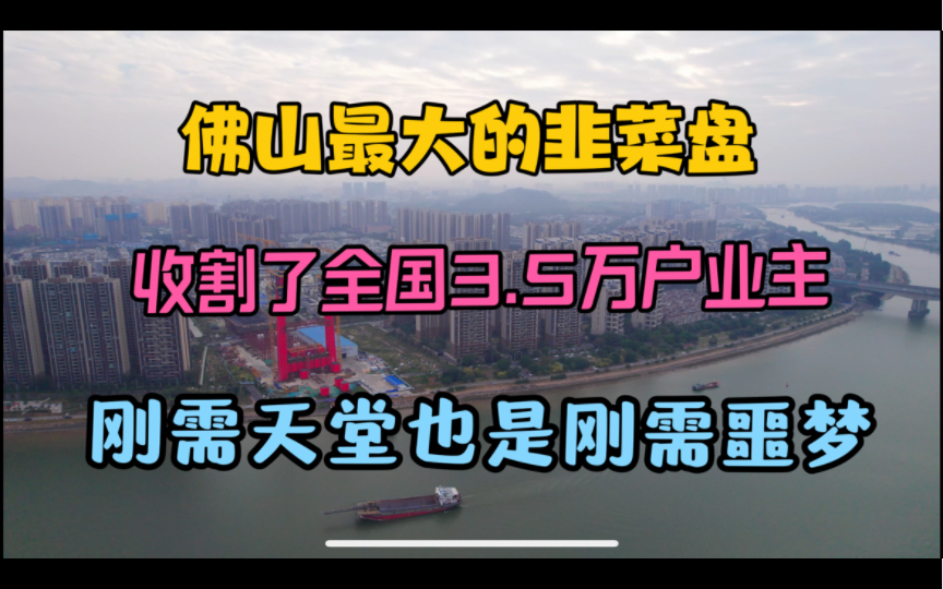 佛山楼市:顺德这个10万人的韭菜大盘,让刚需又爱又恨!这里房价一直跌!为什么?哔哩哔哩bilibili