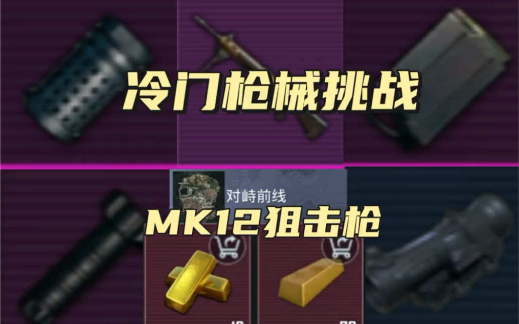 第22集|冷门枪械挑战第二十二期,mk12狙击枪 #地铁逃生