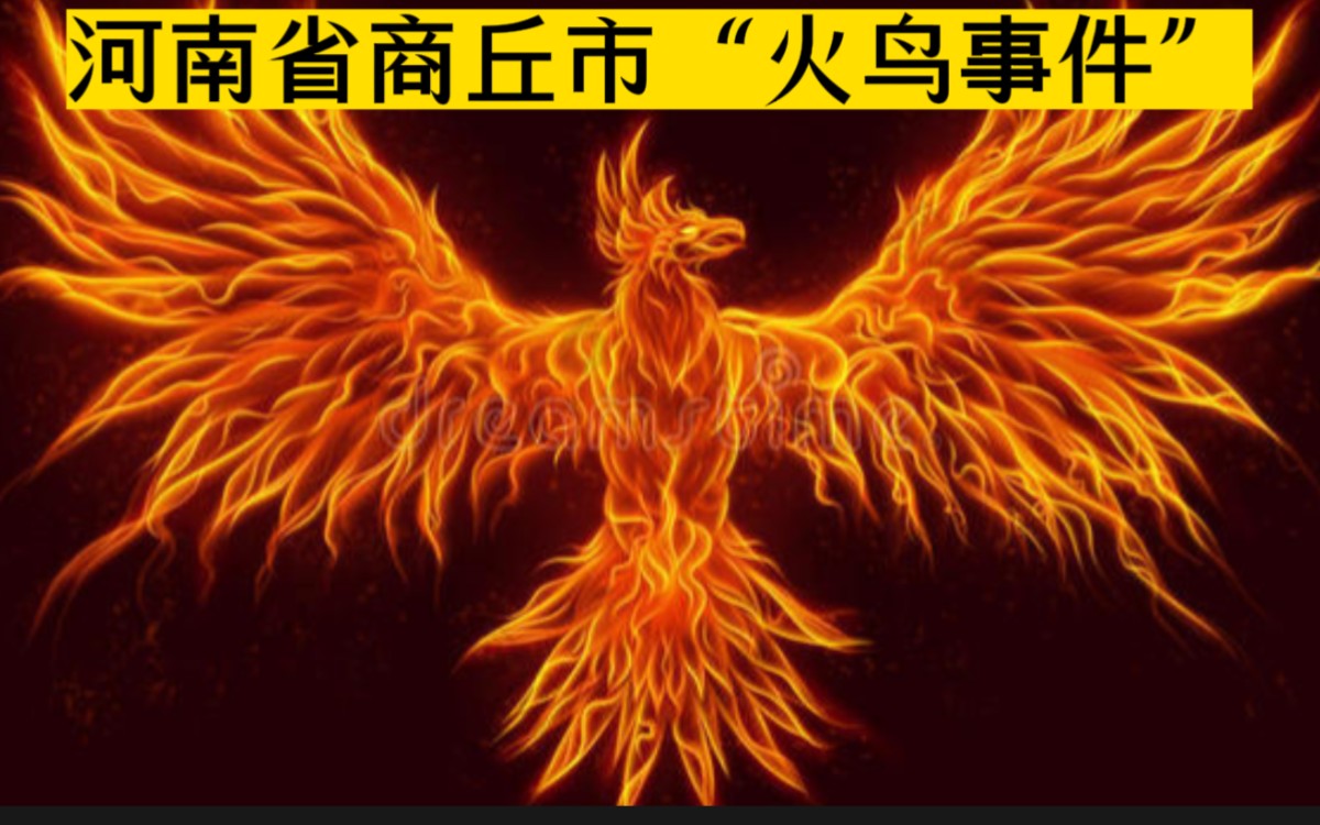 探秘河南省商丘市"火鸟事件" (时间2008年5月29日)