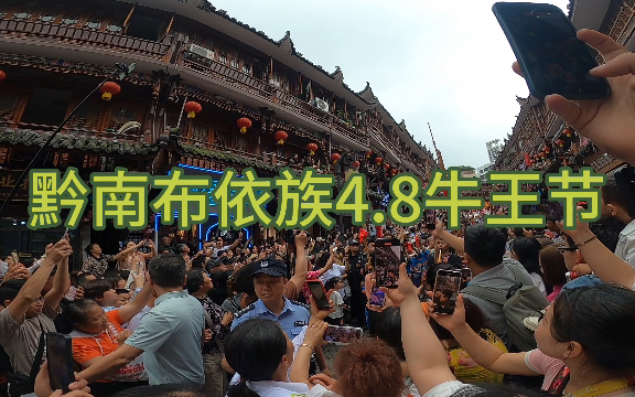 黔南布依族4.8牛王节!#环游中国