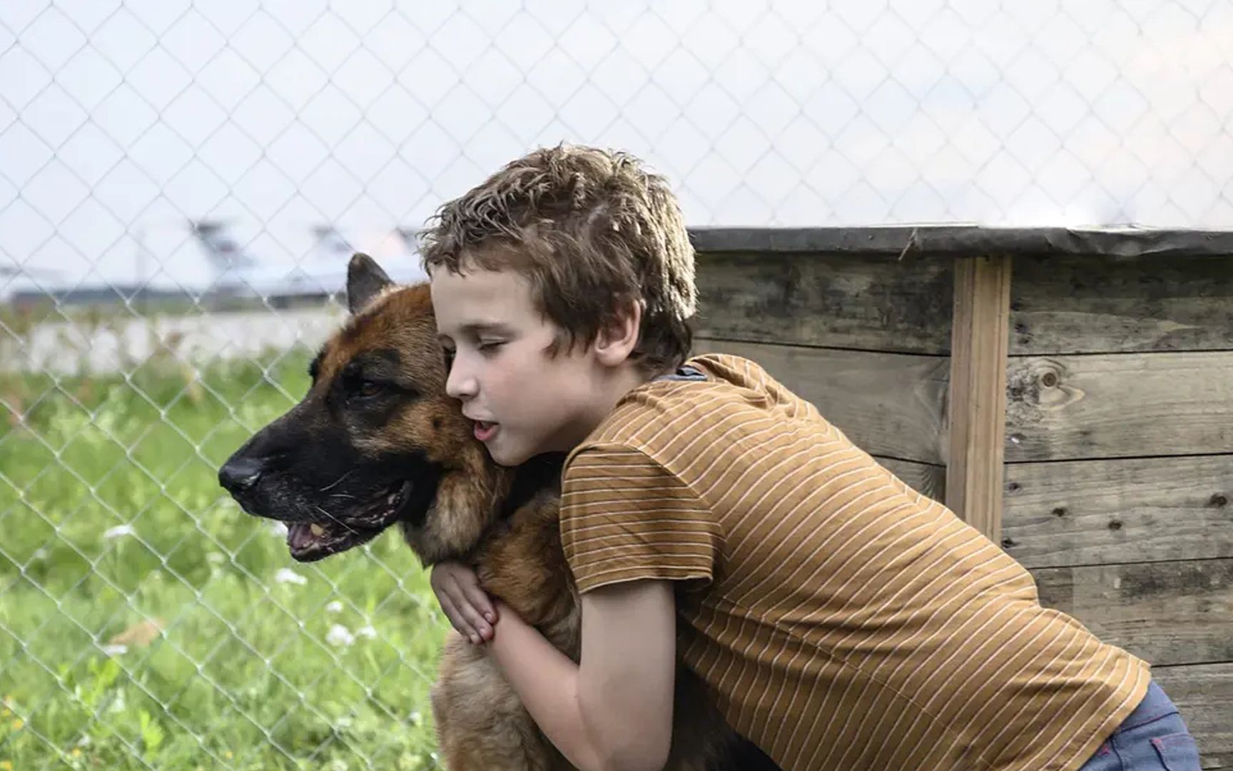 俄罗斯电影《忠犬帕尔玛》终极预告_哔哩哔哩_bilibili