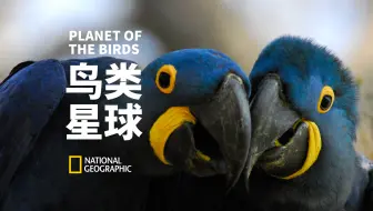 【纪录片】鸟类星球