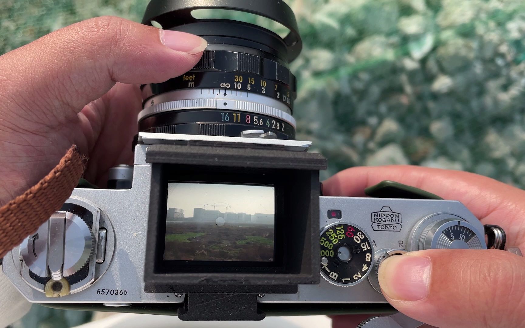 尼康大f取景器里的世界