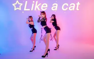 【猫步轻俏-AOA】细高跟翻跳｜第一次做性感小猫咪 like a cat