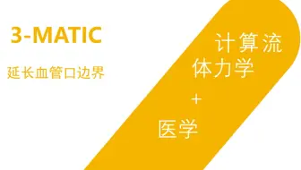 血管模型边界延伸：3-MATIC