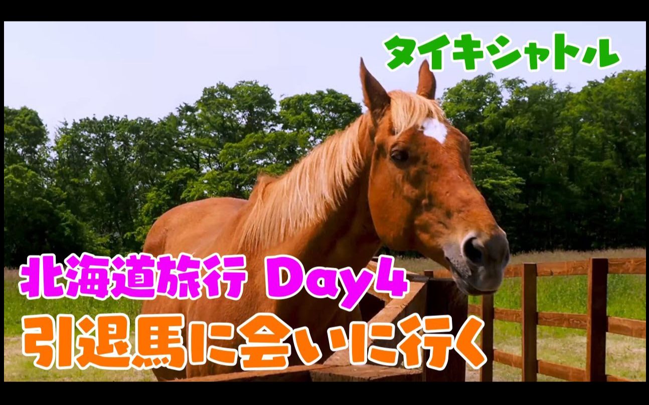赛马与引退的名马们相遇于北海道day4见到了大树快车名将怒涛还有无声