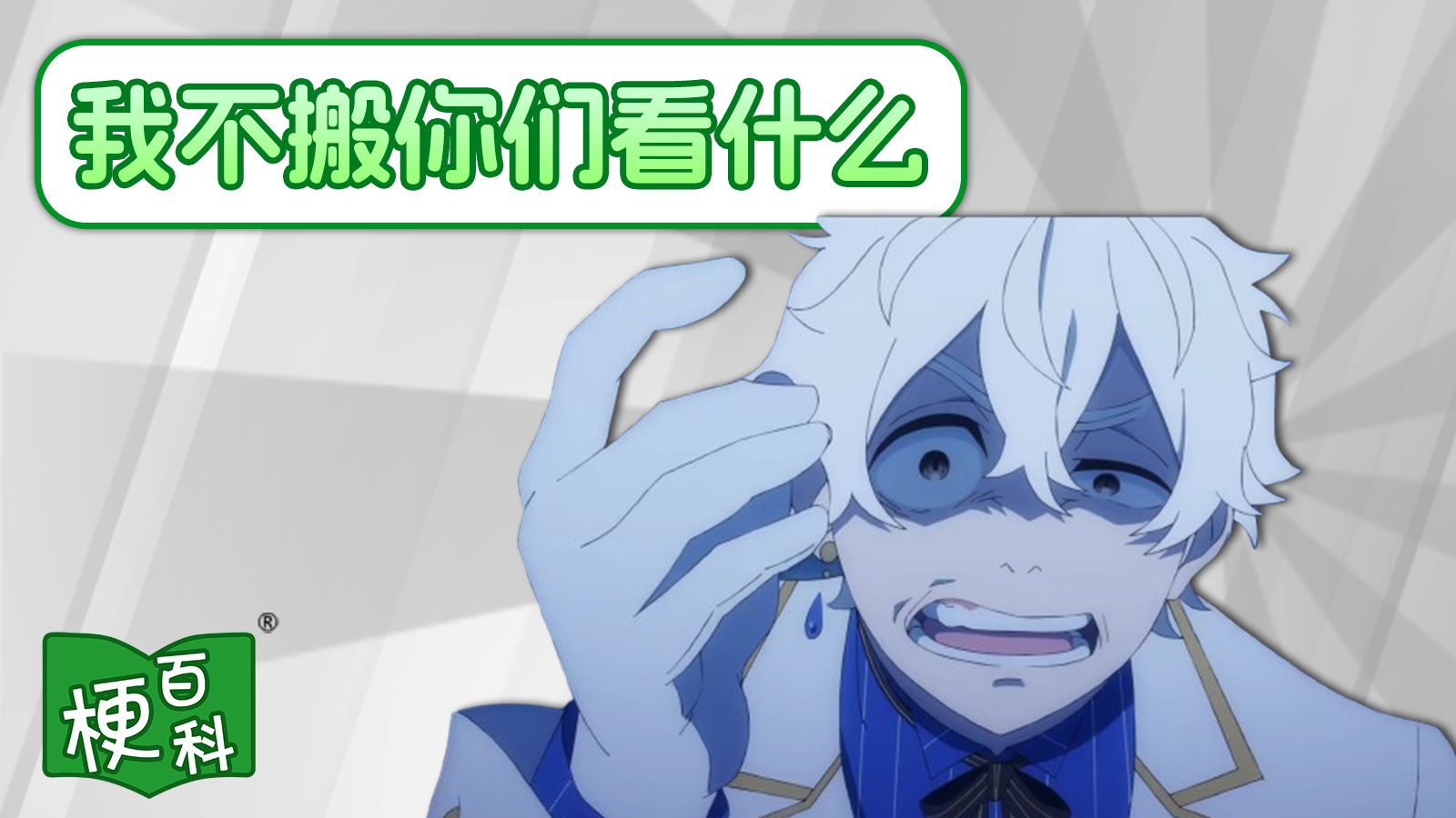 【梗百科】不X你们X什么是啥梗？！【B萌应援】