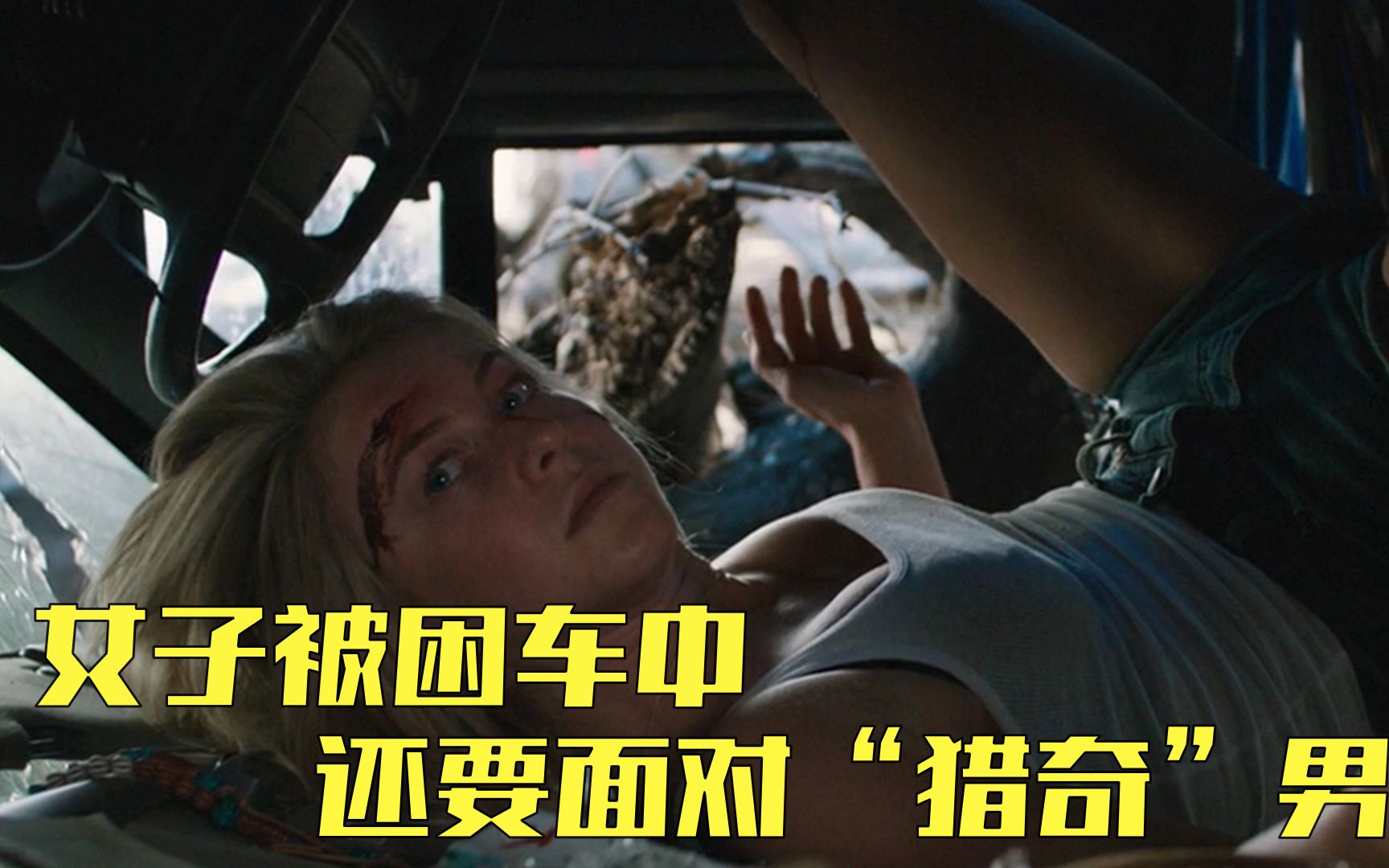 《搭车遇狼惊魂记》_哔哩哔哩 (゜-゜)つロ 干杯~-bilibili