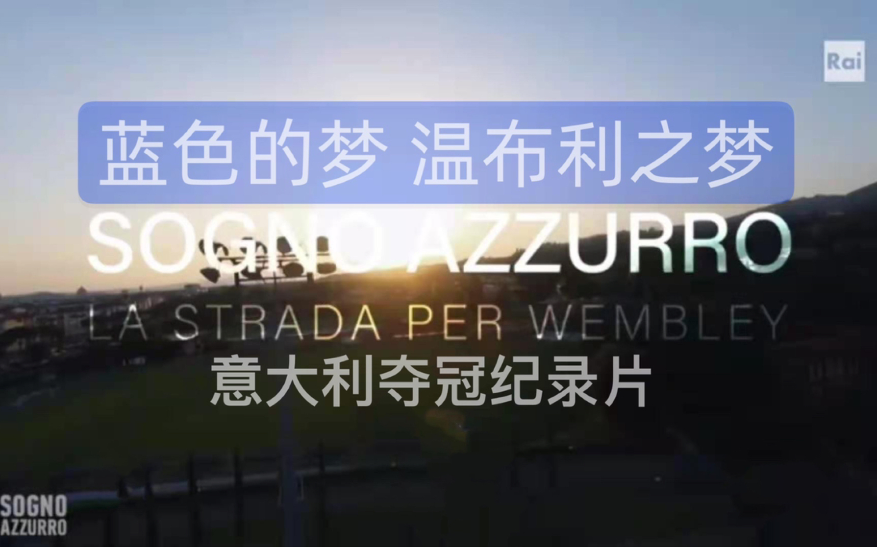 [图]2020欧洲杯冠军意大利国家队夺冠纪录片《蓝色的梦 温布利之梦》意大利Rai电视台意大利语原版