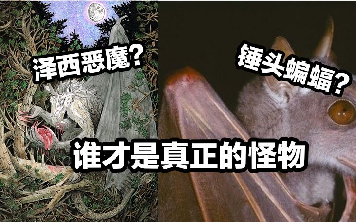 【科普向 】现代版泽西恶魔竟是一种丑陋的蝙蝠?