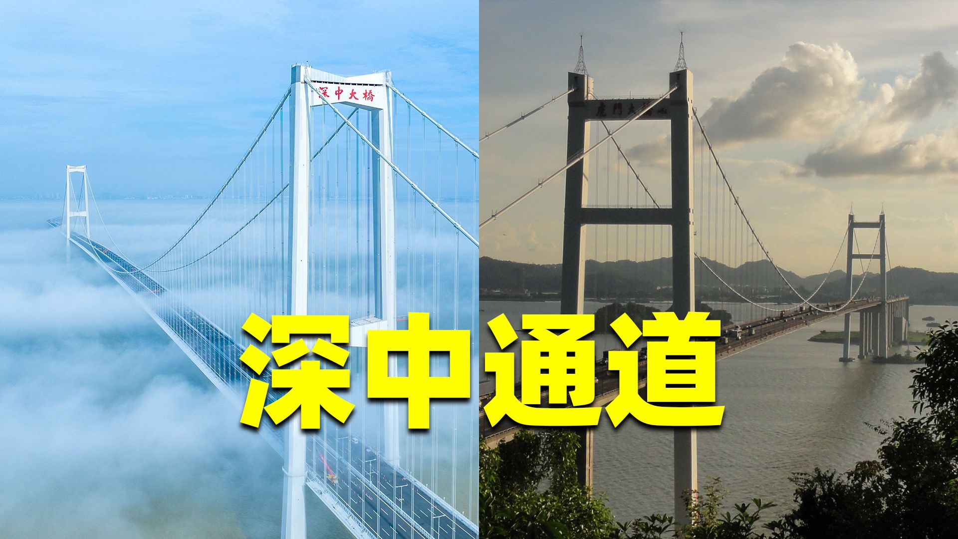 投资460亿全长24公里收费66元,深中通道能取代虎门大桥地位吗?哔哩哔哩bilibili