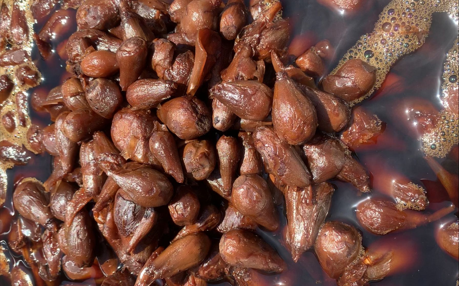 河南棉枣的功效与作用(河南棉枣:健康美味的营养宝藏)