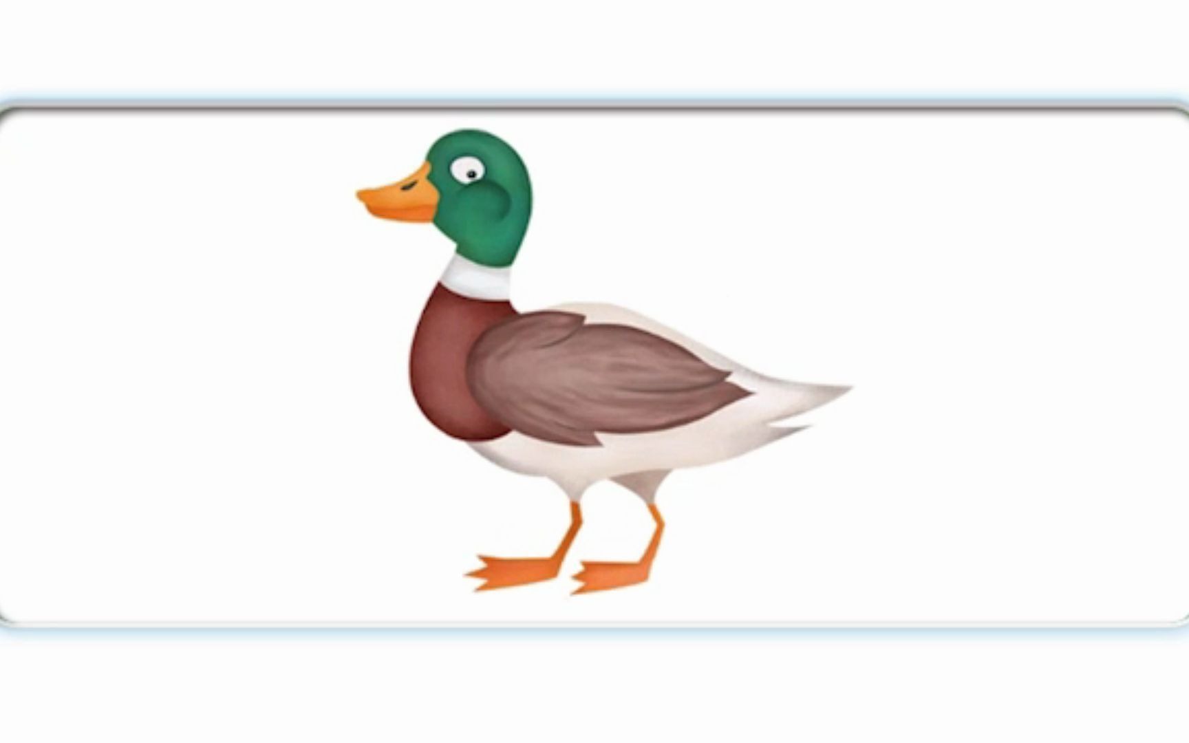 外教教你读小鸭子duck_哔哩哔哩 (゜-゜)つロ 干杯~-bilibili