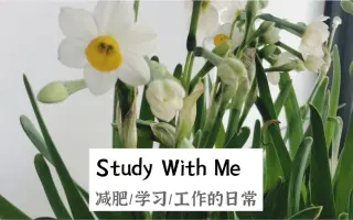水仙花的英语 搜索结果 哔哩哔哩弹幕视频网 つロ乾杯 Bilibili
