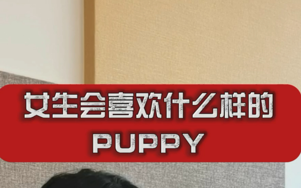 圈内知识大揭秘:女生会喜欢什么样的puppy哔哩哔哩bilibili