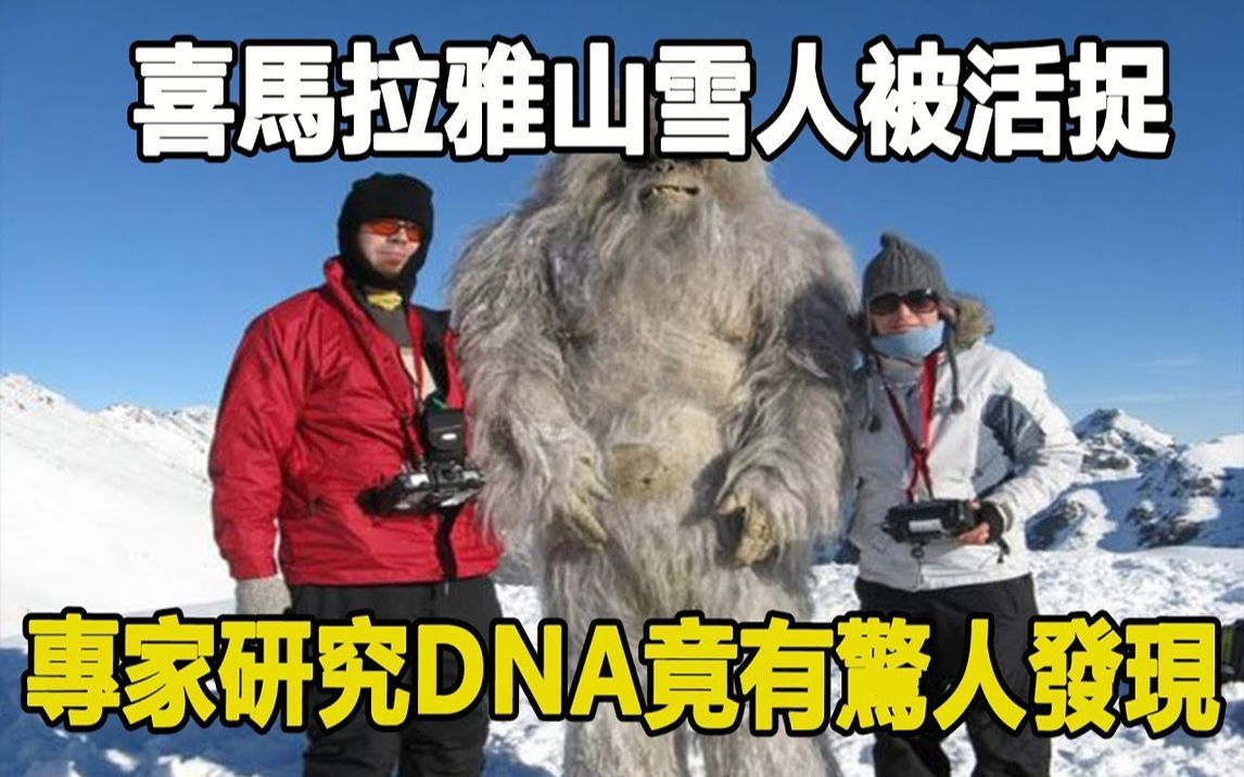 喜马拉雅山雪人被活捉,专家研究DNA竟有惊人发现哔哩哔哩bilibili