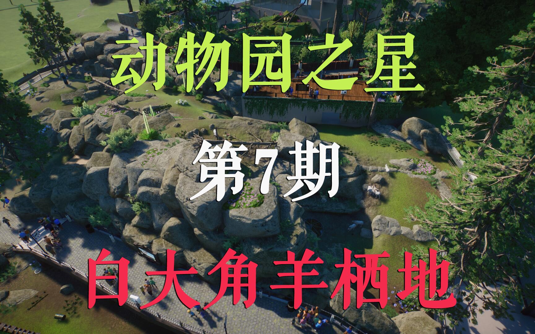 动物园之星 建设动物园第7期 白大角羊栖地