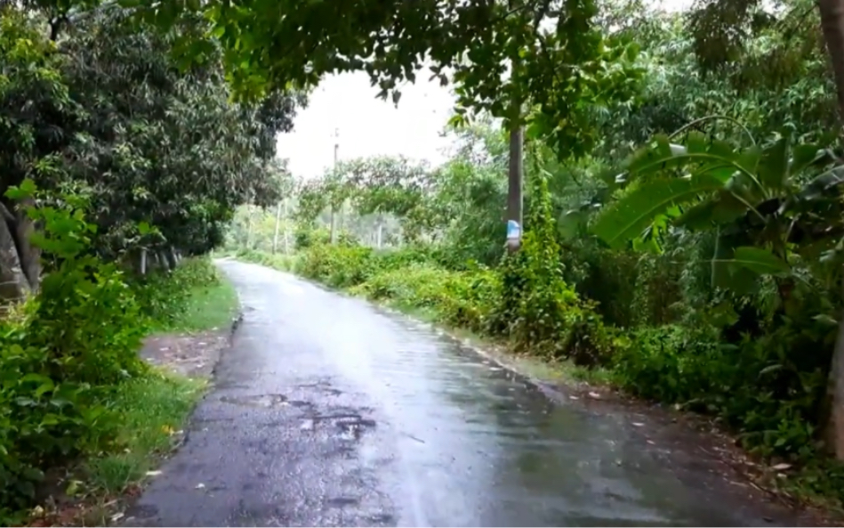 乡村雨景图片